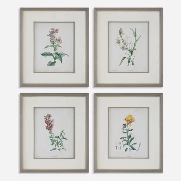 Heirloom Blooms Study Framed Prints Set/4 Contemporary style Print Decor